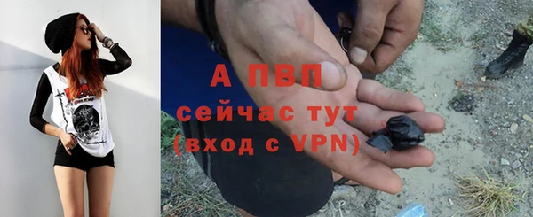 гидра Кулебаки