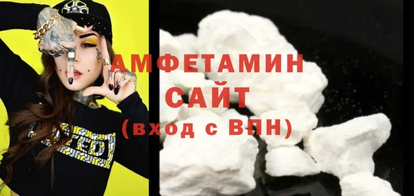 гидра Кулебаки