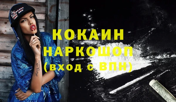 гидра Кулебаки