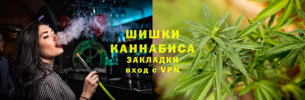 гидра Кулебаки