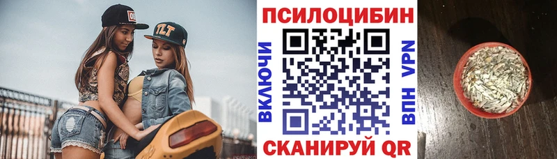 купить наркотики цена  KRAKEN рабочий сайт  Галлюциногенные грибы Psilocybine cubensis  Чулым 