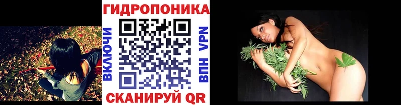 купить закладку  Чулым  Шишки марихуана конопля 